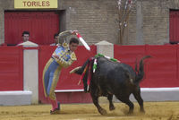 David_Fandila (6)