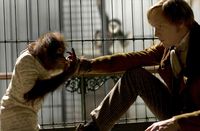Paul Bettany in Jon Amiel's CREATION - photo courtesy of Liam Daniel