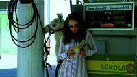 Film-socialisme-jean-luc-godard