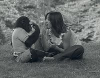 Project-nim-chimpsky-chimpanzee-laura-ann-petitto