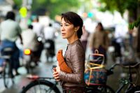 The-lady-michelle-yeoh