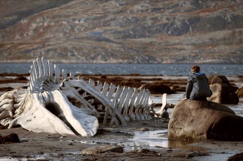 Leviathan-movie-review-sergey-pokhodaev 
