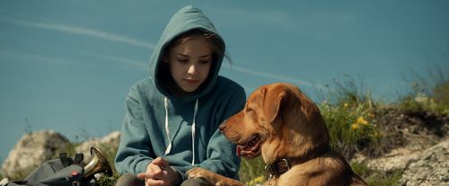 White-god-movie-review-zsófia-psotta-luke-body