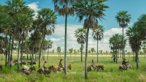 Zama-movie-review-daniel-giménez-cacho