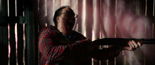 Color-out-of-space-movie-review-nicolas-cage