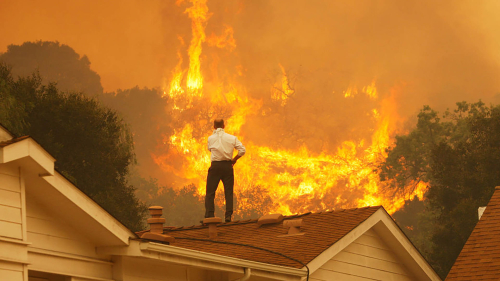 Bring-your-own-brigade-movie-review Bring-your-own-brigade-movie-review