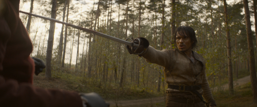 The-three-musketeers-dartagnan-movie-review-françois-civil