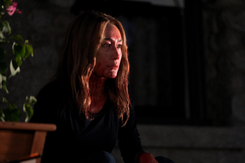 Fear-the-night-movie-review-maggie-q