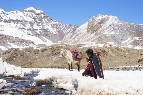 Shambhala-movie-review-thinley-lhamo